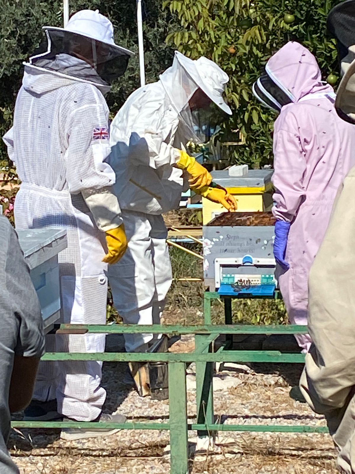 2024 course - hive